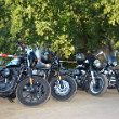 Treffen 2022 - 291